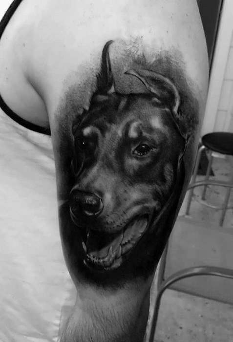 Dobermann tattoo 103