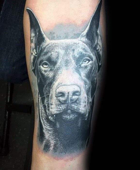 Dobermann tattoo 13