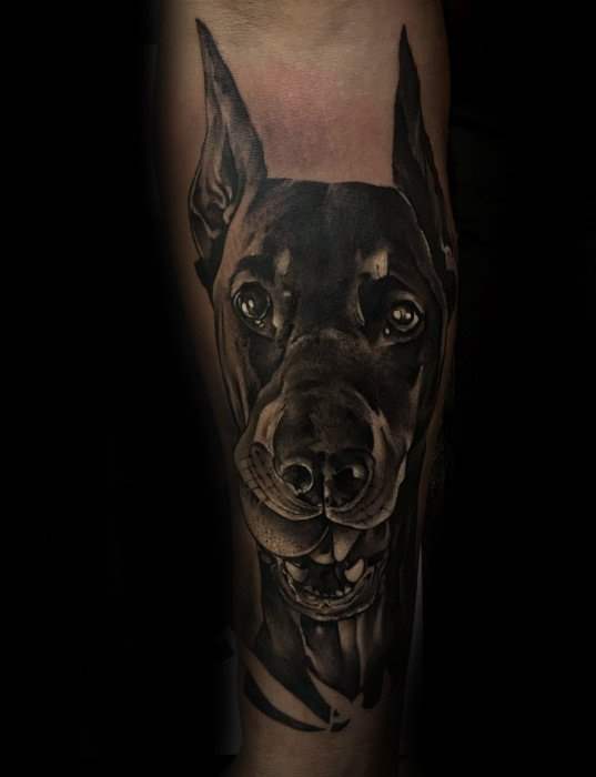 Dobermann tattoo 55