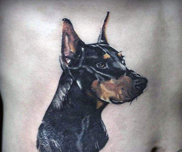 Dobermann tattoo 61