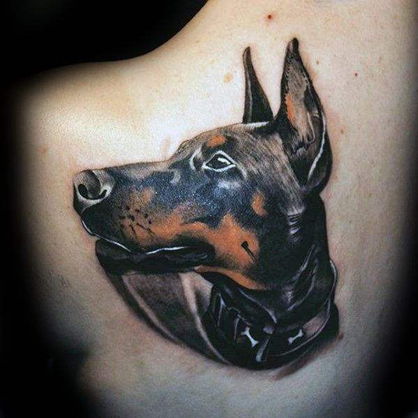 Dobermann tattoo 75