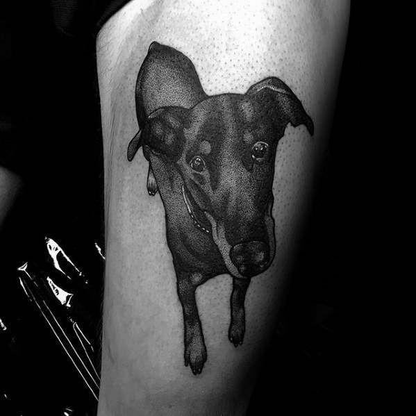 Dobermann tattoo 97