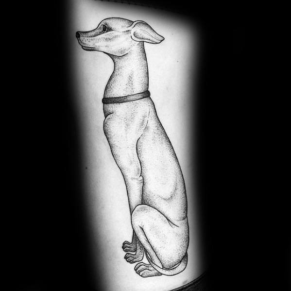 Windhund tattoo 07
