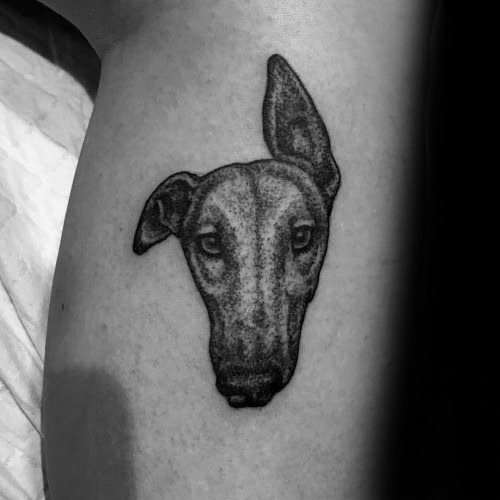 Windhund tattoo 23