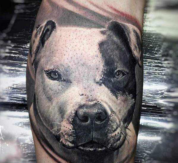 pitbull tattoo 05
