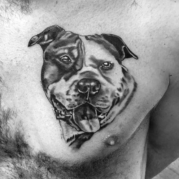pitbull tattoo 11