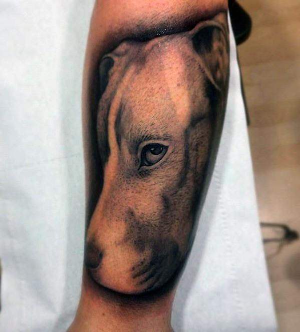 pitbull tattoo 45