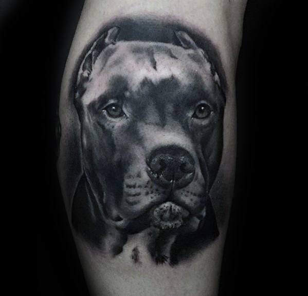 pitbull tattoo 73
