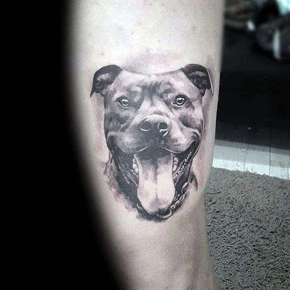 pitbull tattoo 77