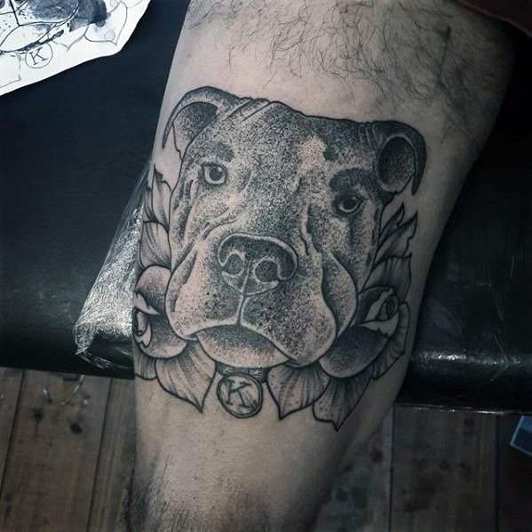 pitbull tattoo 87