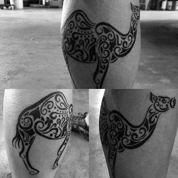 kamel tattoo 68