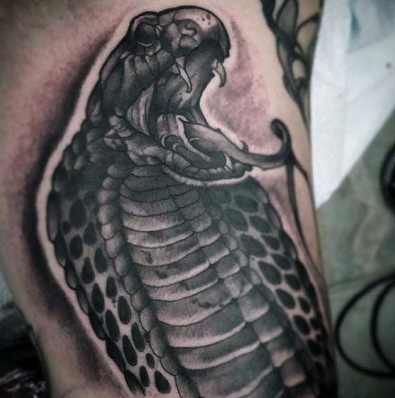 Kobra tattoo 35