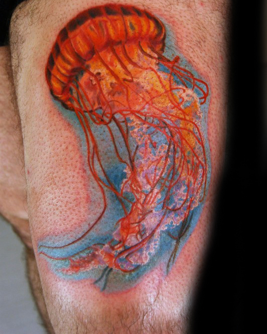 qualle tattoo 141