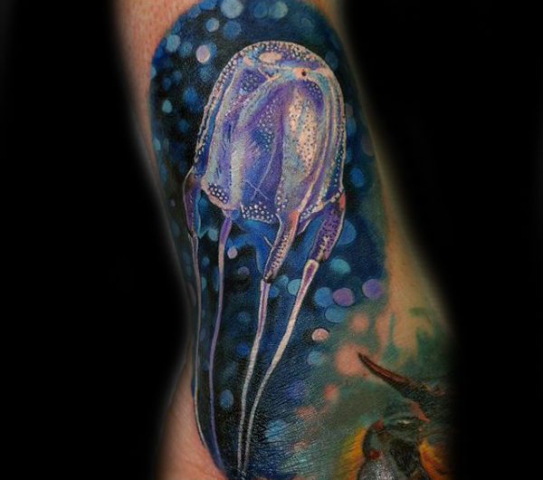 qualle tattoo 153
