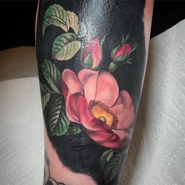 rose tattoo 217