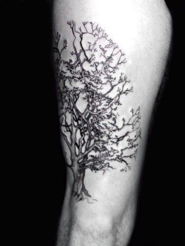 baum tattoo 1195