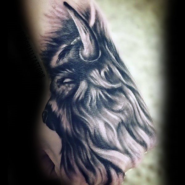 bison tattoo 71