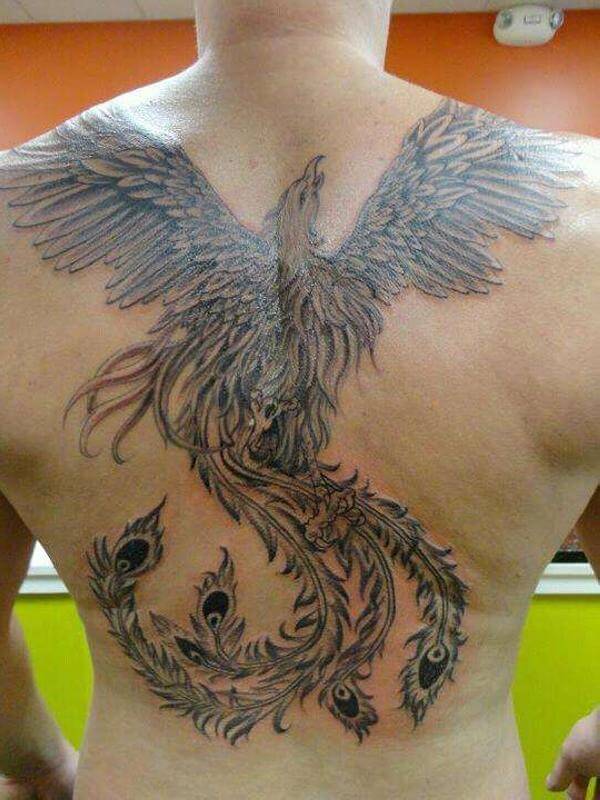 phonix tattoo 284