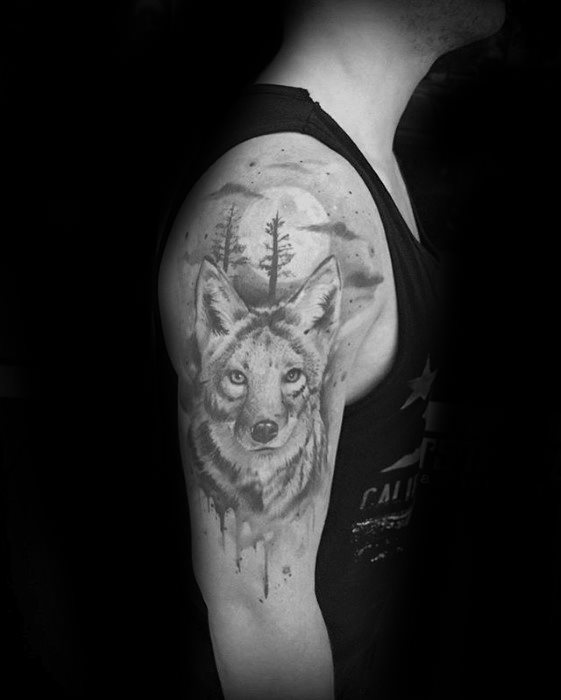 tatouage coyote 17