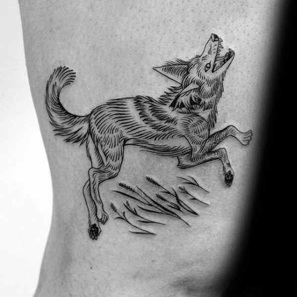 tatouage coyote 23
