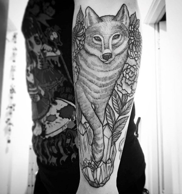 tatouage coyote 41