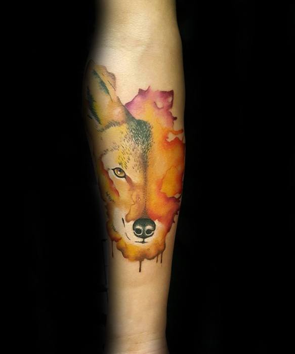 tatouage coyote 53