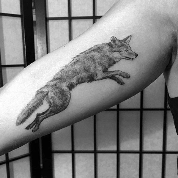 tatouage coyote 55