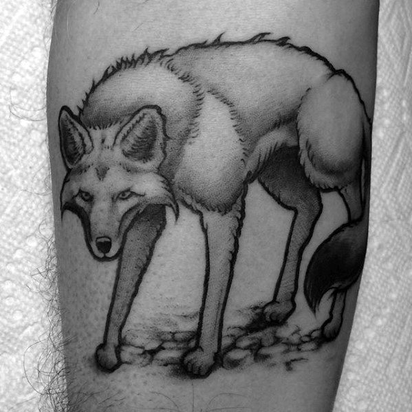 tatouage coyote 71