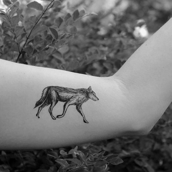 tatouage coyote 75