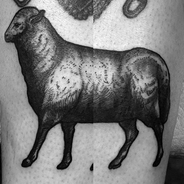 tatouage mouton 55