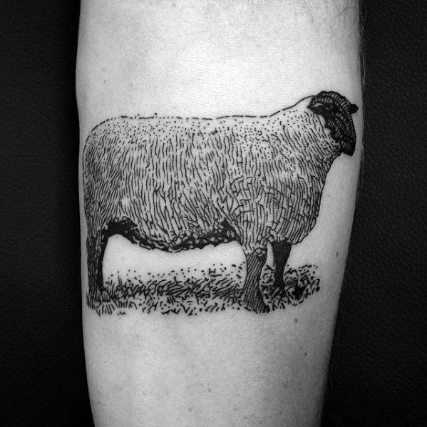 tatouage mouton 89