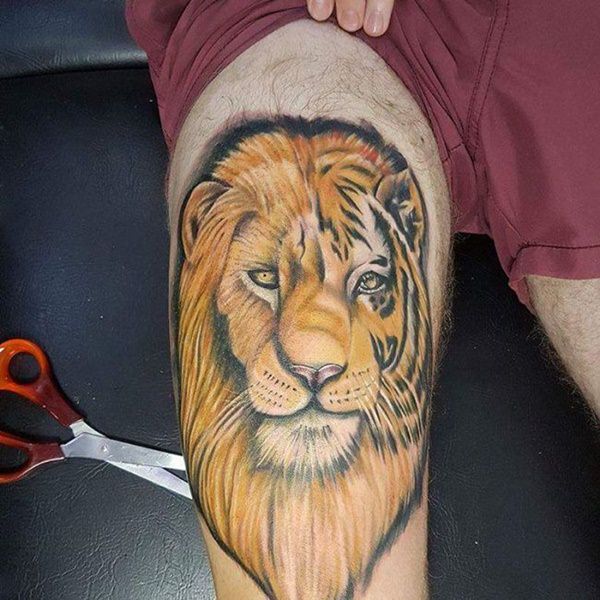 tatouage lion 180