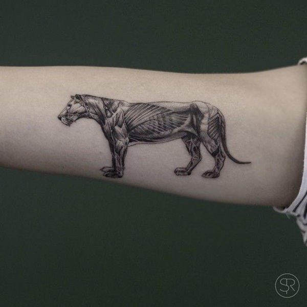 tatouage lion 195