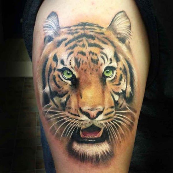 tatouage tiger 204