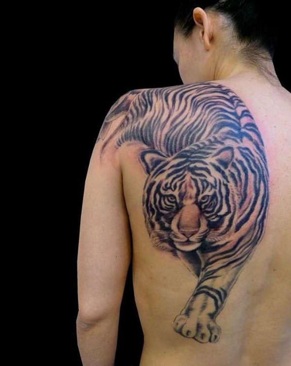 tatouage tiger 230