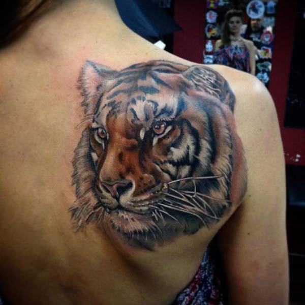 tatouage tiger 239
