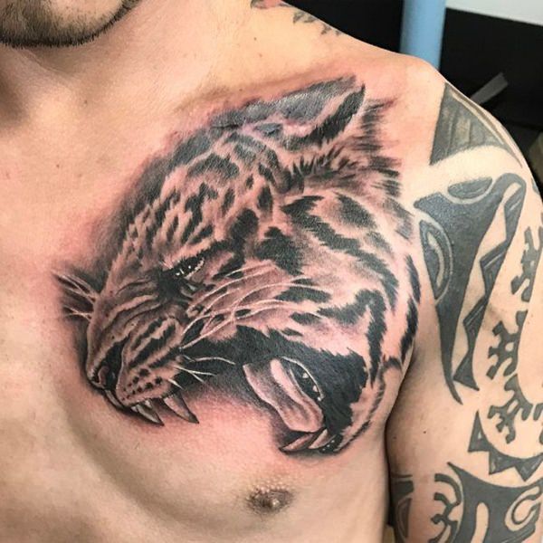 tatouage tiger 255