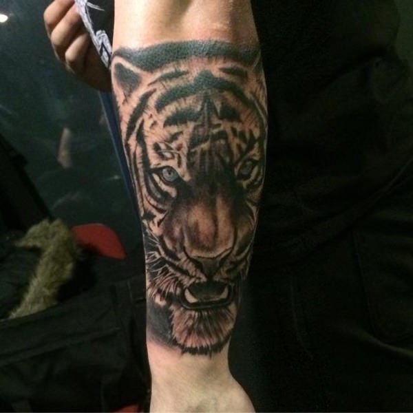 tatouage tiger 260