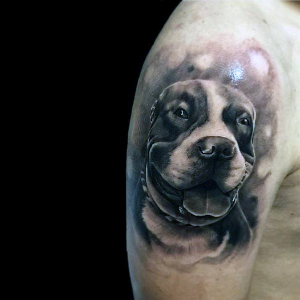 tatouage pitbull 104