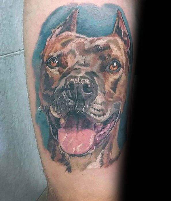 tatouage pitbull 11
