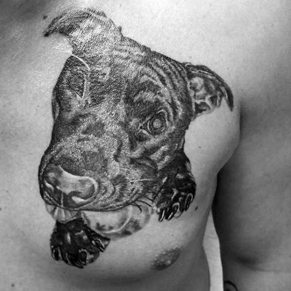 tatouage pitbull 20