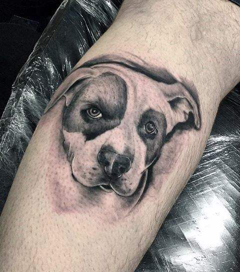 tatouage pitbull 41