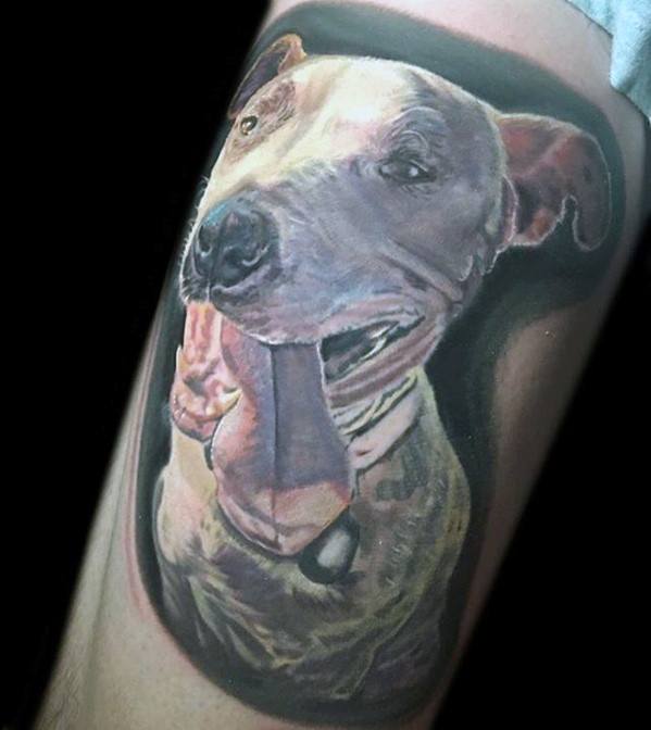 tatouage pitbull 53