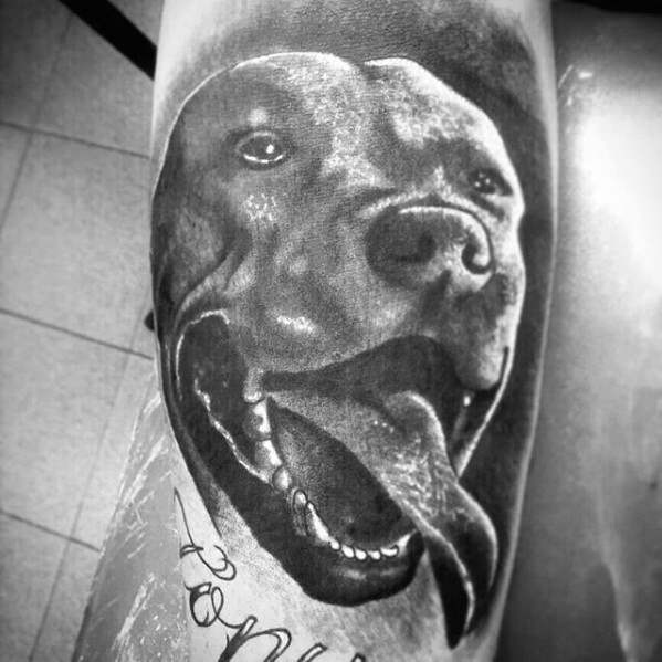 tatouage pitbull 59