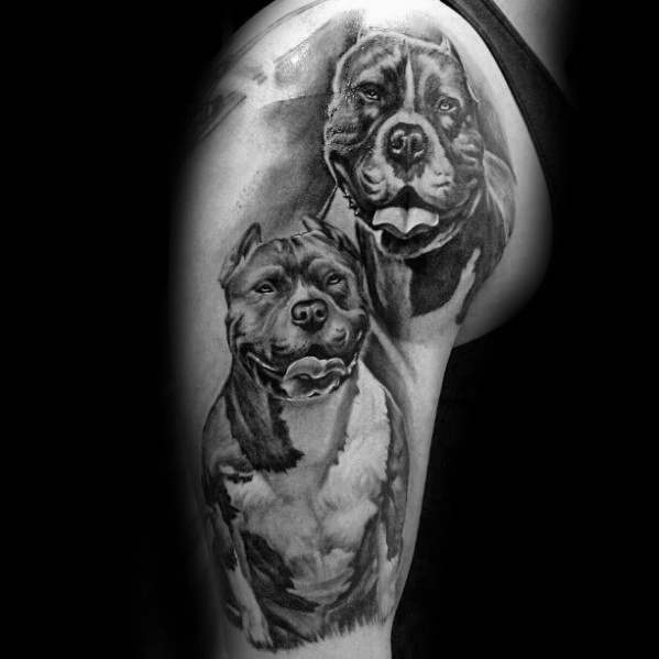 tatouage pitbull 68