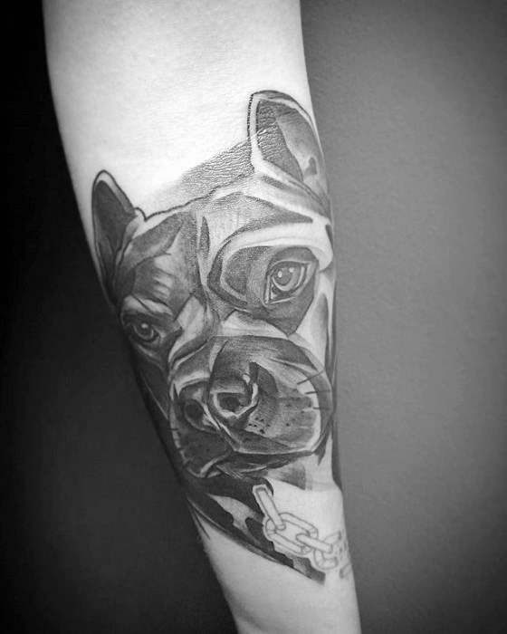 tatouage pitbull 86