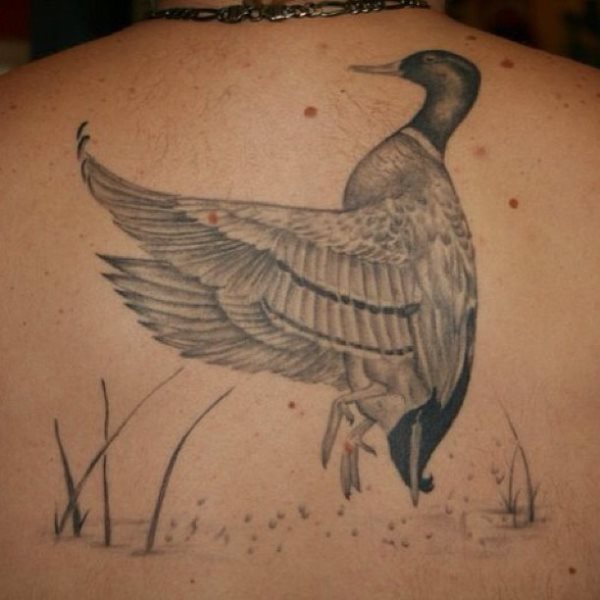 tatouage canard 28