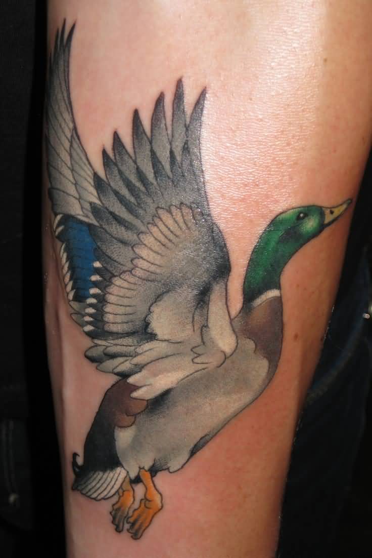 tatouage canard 42