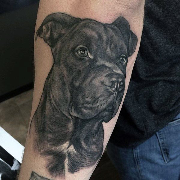 tatouage chien 16