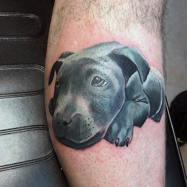 tatouage chien 24
